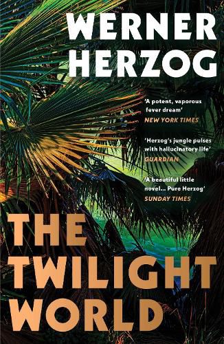 Cover image for The Twilight World
