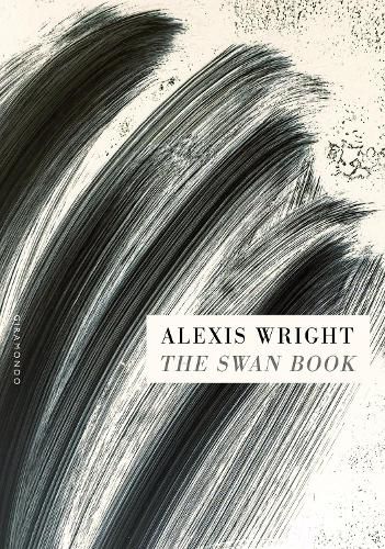 Cover image for The Swan Book